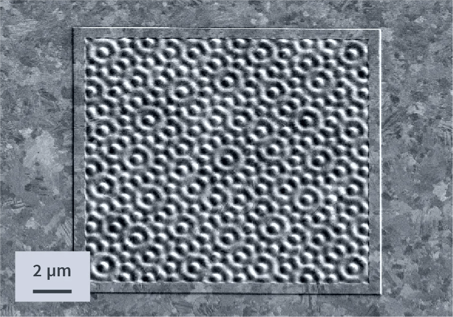 NanoFrazor Grayscale Application