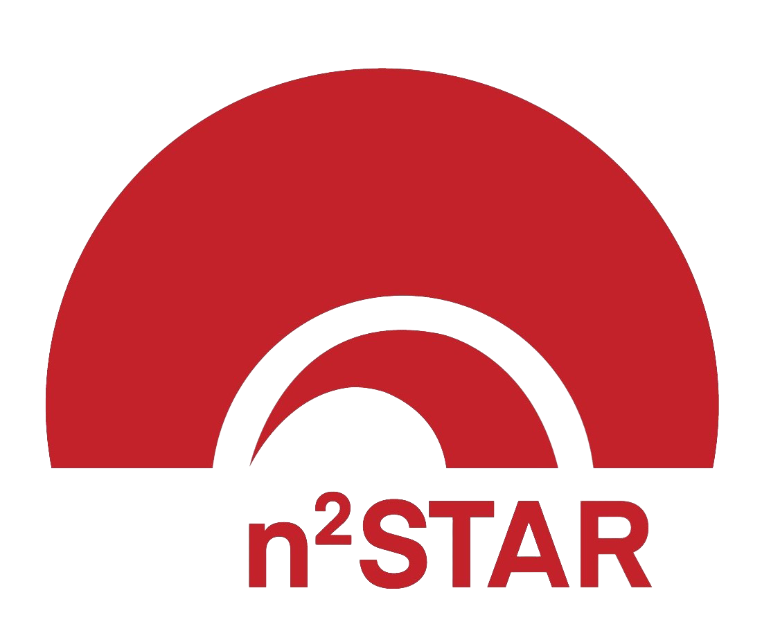 n2star logo